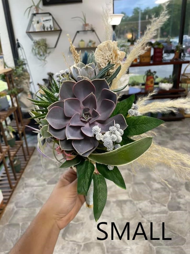 Ramos de boda suculentos/Varios tamaños disponibles/Plantas vivas/Novia elegante/Quinceañera/Hermosa variedad/Embrague/Ramo en cascada/Personalizado imagen 5