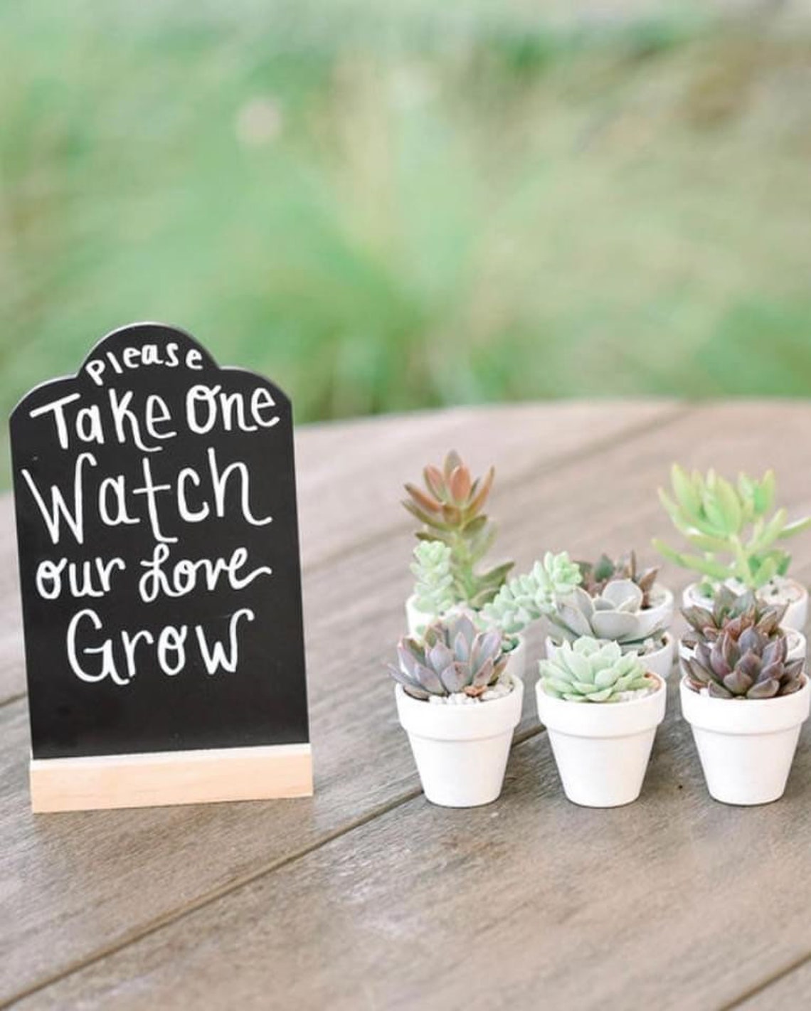 Succulent party favors/ terra cotta pots 2inch/ wedding Etsy