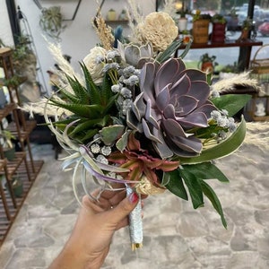 Ramos de boda suculentos/Varios tamaños disponibles/Plantas vivas/Novia elegante/Quinceañera/Hermosa variedad/Embrague/Ramo en cascada/Personalizado imagen 4