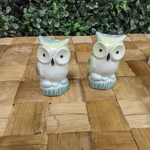 Owl Salt & Pepper Shakers / Hand Painted Blue and Green / Ceramic / Kitchen / Dining / Figurines / Novelty / Gift / Cute / Dinner