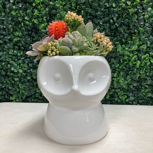White Fox Planter With Live Succulents & Cactus Mix /Office Desk Pen Holder/Succulent pot/Vase/ Gift / Easy Low Maintenance Plants