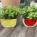 see more listings in the Planters section