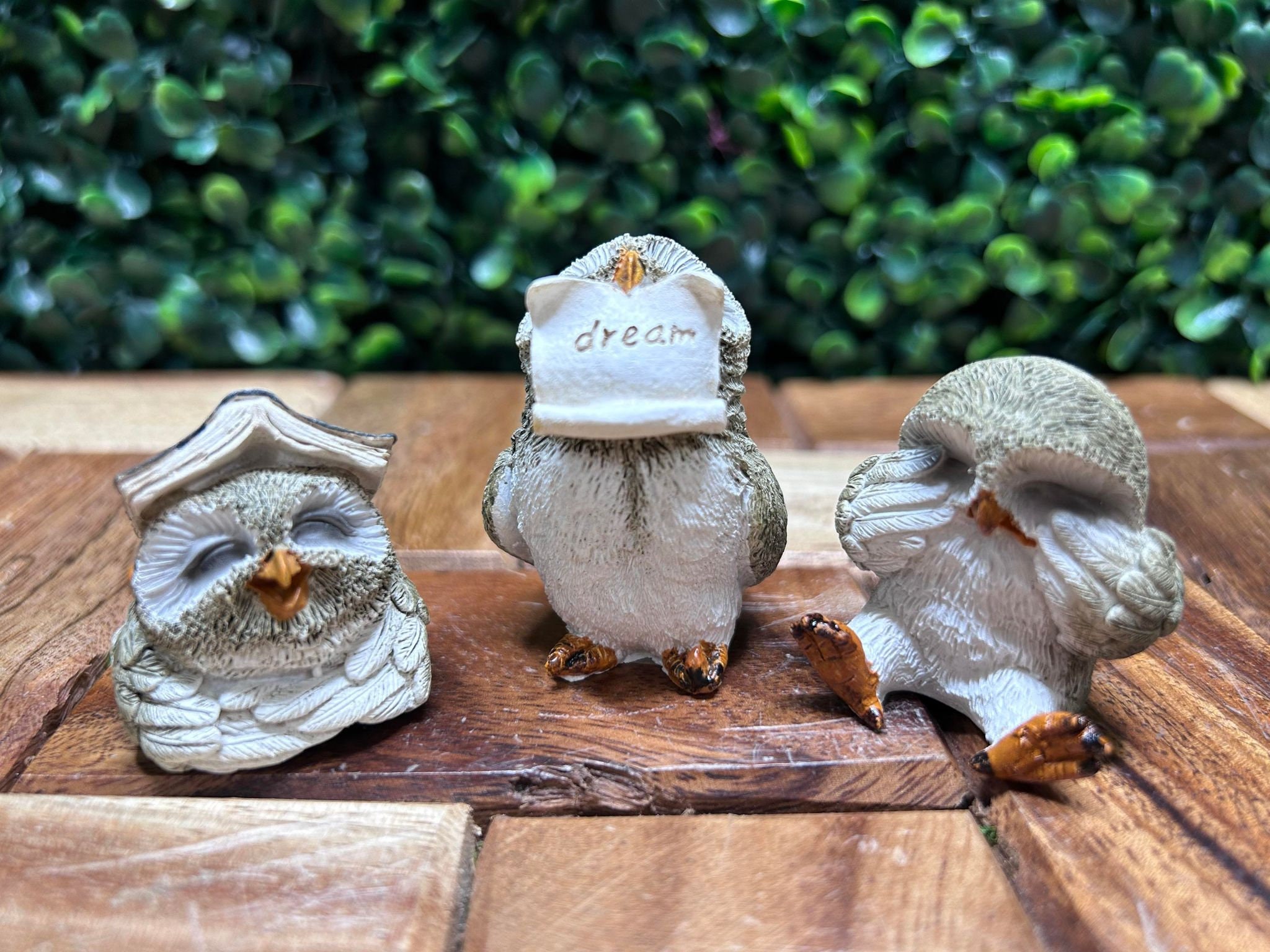 Beautiful Hand Sculpted Mini Reading Owls Poly Resin Figurines / Whimsical Hand Painted Detailed | C