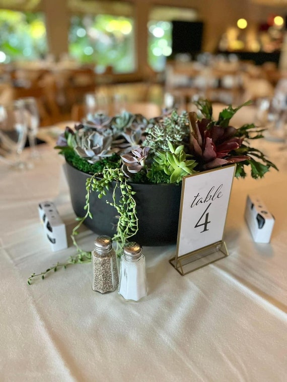 Succulent Wedding Centerpiece/live Plants/elegant Table/ Party/bridal  Shower/beautiful Variety/table Decor/round Centerpiece/low Maintenance -  Etsy Israel