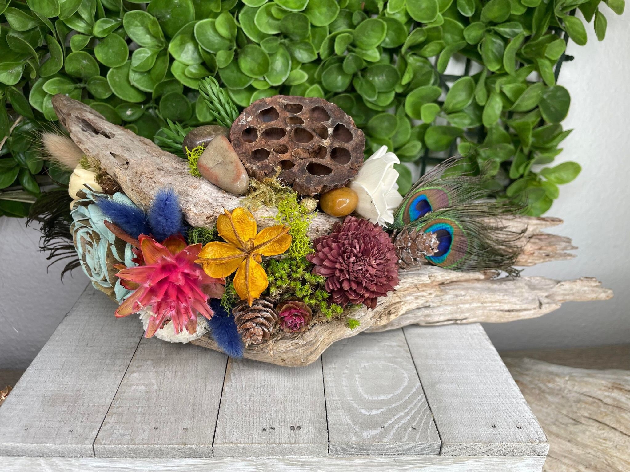 Dried Sola Wood Driftwood/ Centerpiece/ Home Decor/ Coastal Decor