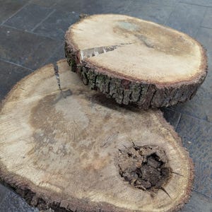 May include: Two round wooden slices, one on top of the other. The top slice has a crack in the center. The bottom slice has a large knot in the center.