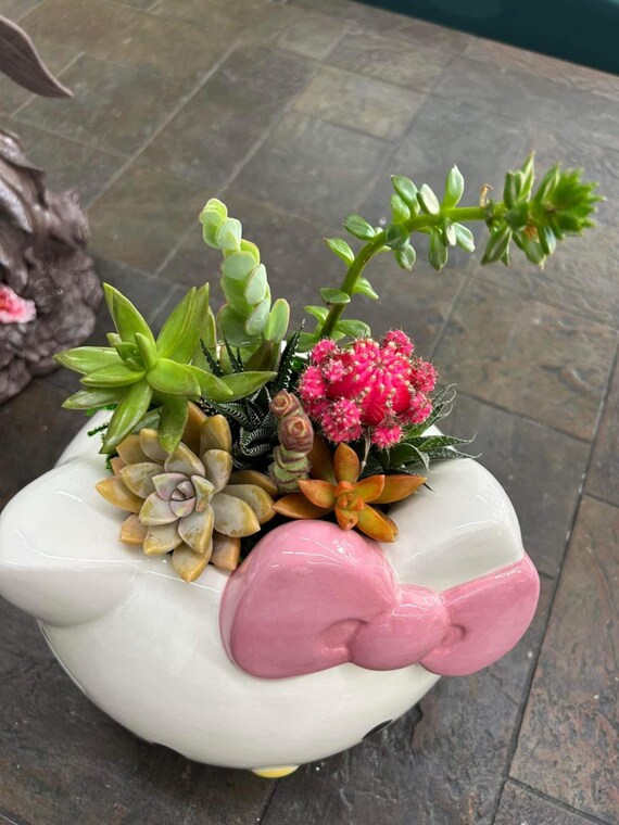 Sanrio Hello kitty 吊り下げ　鉢カゴ　ハローキティ　プランター s-l400.jpg