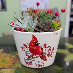 May include: White ceramic pot with a red cardinal bird illustration, filled with succulents and red berries. The pot is decorated with a winter scene. The arrangement includes various green and gray succulents.