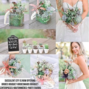 Succulent Wedding Bouquets/Various Sizes Available/Live Plants/Elegant Bridal/Quinceanera/Beautiful Variety/Clutch/Cascading Bouquet/Custom image 8