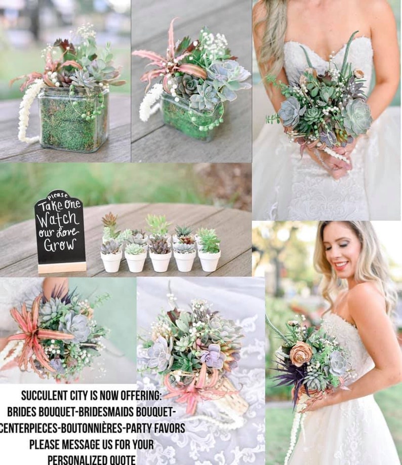 Succulent Wedding Bouquets/Various Sizes Available/Live Plants/Elegant Bridal/Quinceanera/Beautiful Variety/Clutch/Cascading Bouquet/Custom image 8