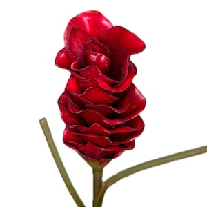 Curcuma Ginger High Quality Artificial Flower 29 Inch / Red Bloom / Tropical Flowers / Home Decor / Silk / Colorful / Island Decor / Exotic