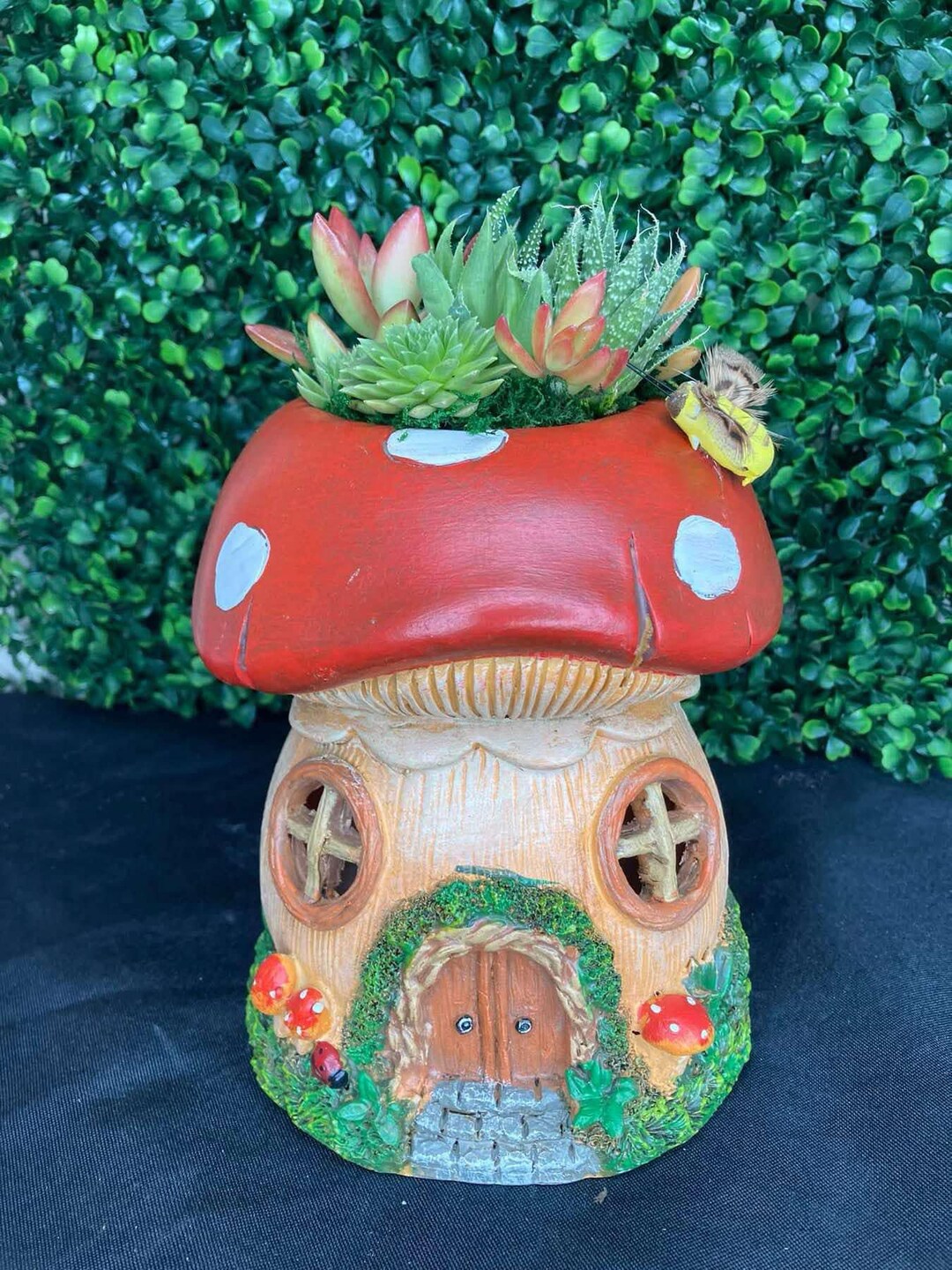 Solar Mushroom House Planter: Fairy Garden Decor With Succulent Kit - Etsy