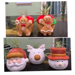 May include: Four ceramic Christmas-themed planters with air plants. The planters are shaped like a gingerbread person, a reindeer, a snowman, and Santa Claus.