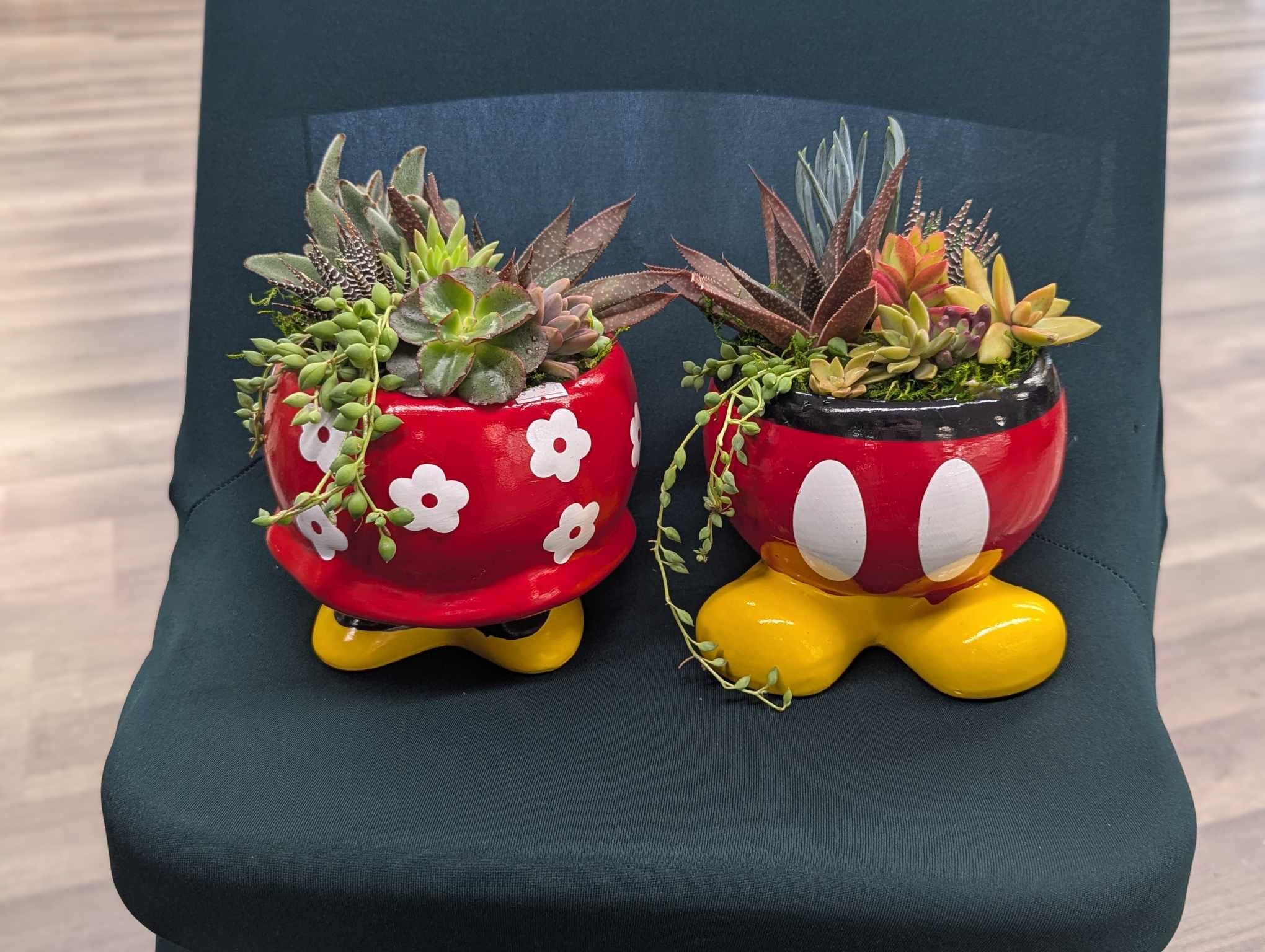 Mickey or Minnie Mouse Planters with or without Live Succulent Kit / Disney / Pot / Garden Container / Ceramic planter / Gift / Easy plants