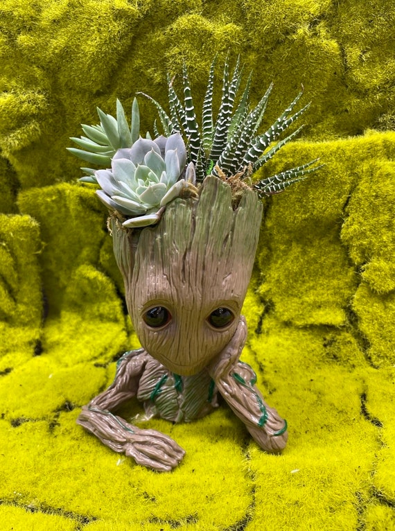 Baby Groot Planter W live Succulent Plants Easy Gardening Cactus Guardians of the Galaxy Marvel Cute Office Father s Day Gift pen Holder Etsy