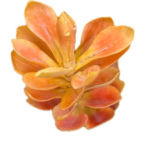 Hawaiian Ginger High Quality Artificial Flower 32 Inch /Yellow Orange Bloom / Tropical / Decor / Silk / Island Decor / Exotic