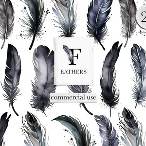 Black Watercolor Feather Png Crow Feathers Clipart Boho - Etsy