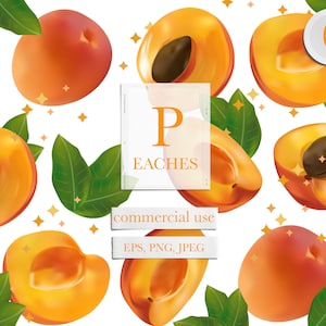 Peach clipart, Fresh fruit clipart, Apricot clipart, Peach digital paper, Peach png , Digital download, Commercial use,