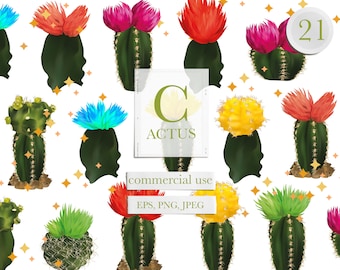 Clipart cactus, fleur de cactus png, clipart cactus d'été, décoration cactus, clipart tropical, téléchargement immédiat, usage commercial