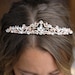 see more listings in the DIADEM section