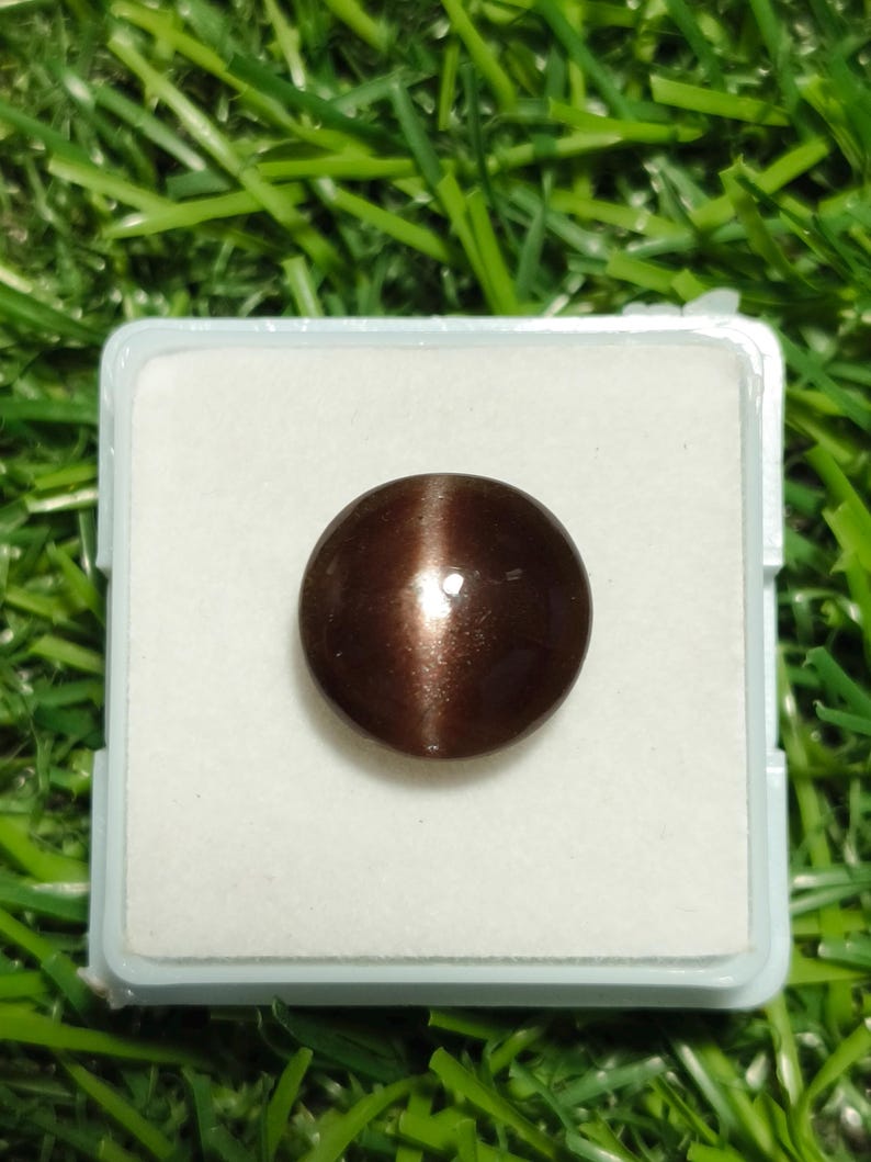 Brown Scapolite Cat's Eye Cabochon: 6.70ct Round Gemstone - Etsy