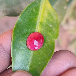 May include: A faceted, oval-shaped, red gemstone rests on a green leaf. The gemstone has a polished surface with multiple facets that reflect light. The leaf is a vibrant green color, with visible veins and a smooth texture. The background is blurred.