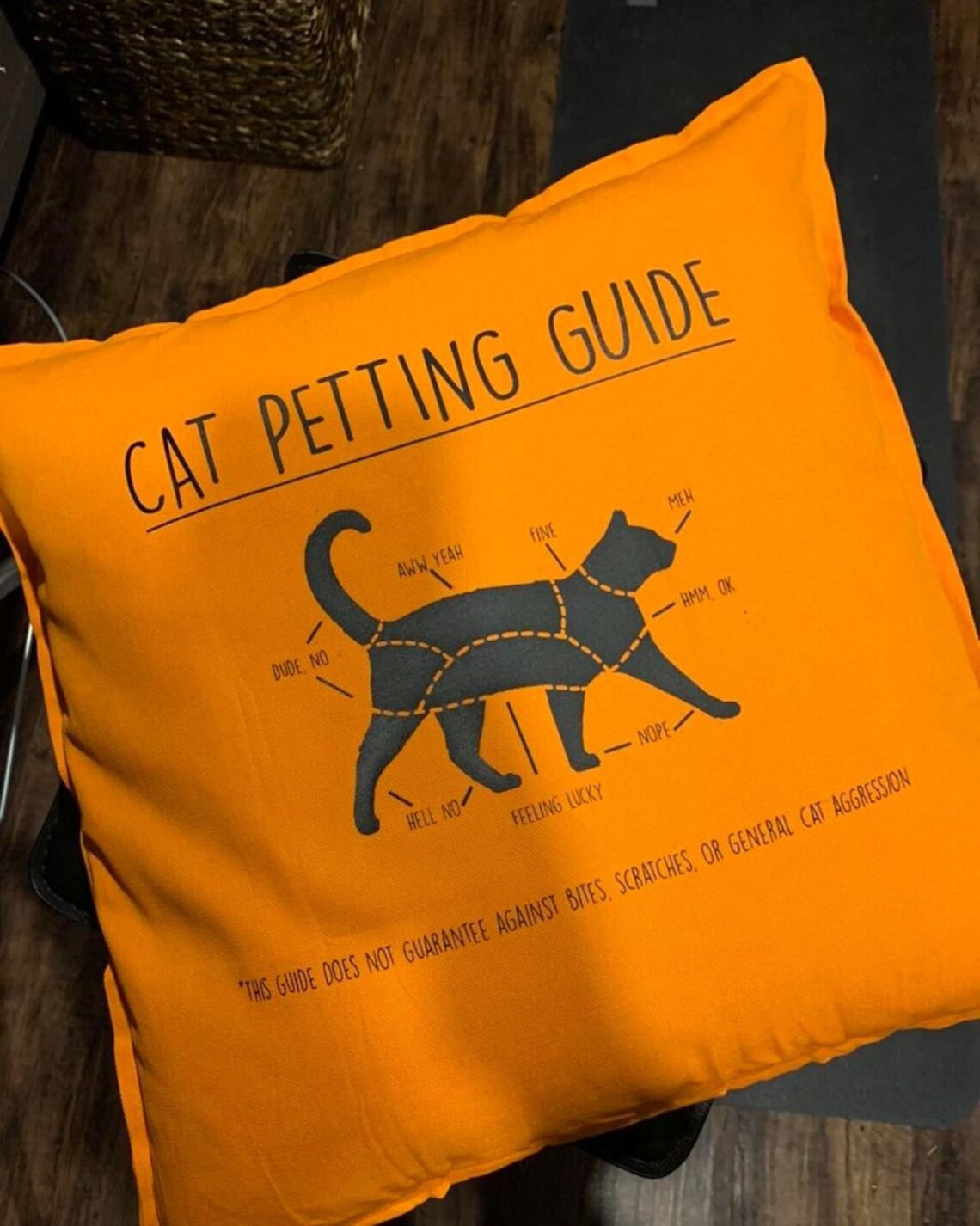 cat petting guide t shirt