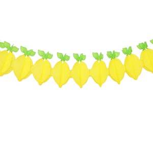 Paper Dreams Lemon Fruit Garland | Reusable Party Streamers for Party Decorations Wedding Decorations, Paper Classic Garland - 360cm