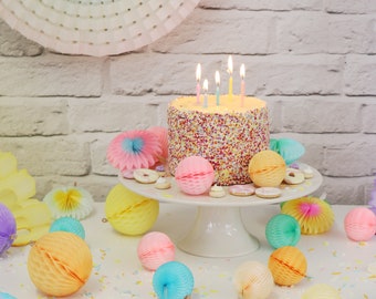Paper Dreams Honeycomb Mini Hanging Fans, Pastel |  Stylish Party Décor, Party Decoration, Rainbow, Weddings, Birthdays – 6 Pack 8 cm