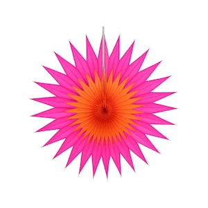 Paper Dreams Pointed Duo Fan | Tissue Paper Hanging Fan, Stylish Party Décor, Party Decoration, Rainbow Tissue Paper Fans – 30cm