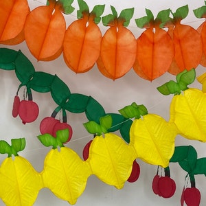 Paper Dreams Ghirlanda di frutta arancione / Stelle filanti riutilizzabili per compleanni, Ghirlanda classica di carta - 360 cm