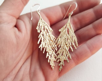 Cypress earrings. Natural inspiration