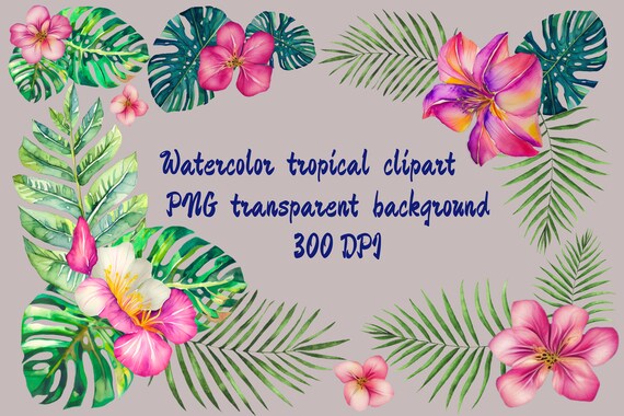 Watercolor tropical clipart for sublimation PNG on transparent background 300 dpi. Tropical bouquet
