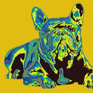 Custom Pop Art Portrait of Your Dogs – Personalized Pet Art from Photo – Vibrant Dog Artwork, Unique Gift for Dog Lovers