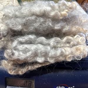 Washed Gray Leicester Locks