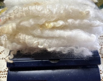 Leicester/Dorset Clean Wool