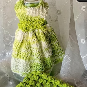 Large Hand Crocheted Dish Detergent Dresses with Matching Dishcloths/Ready to Ship