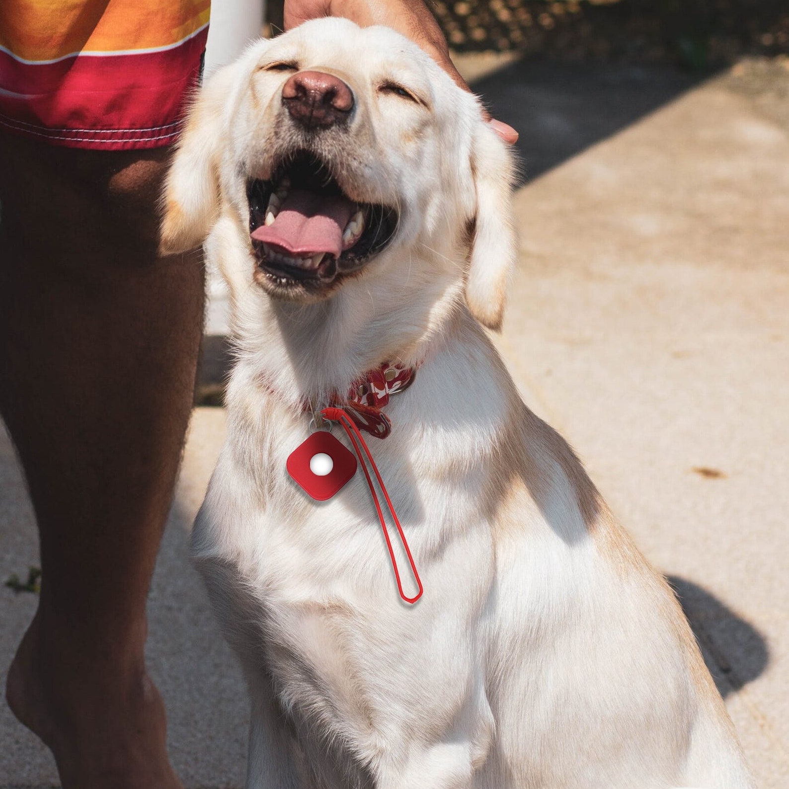 Airtag Keychain LocatorTracker made of Silicone Airtag Dog Etsy