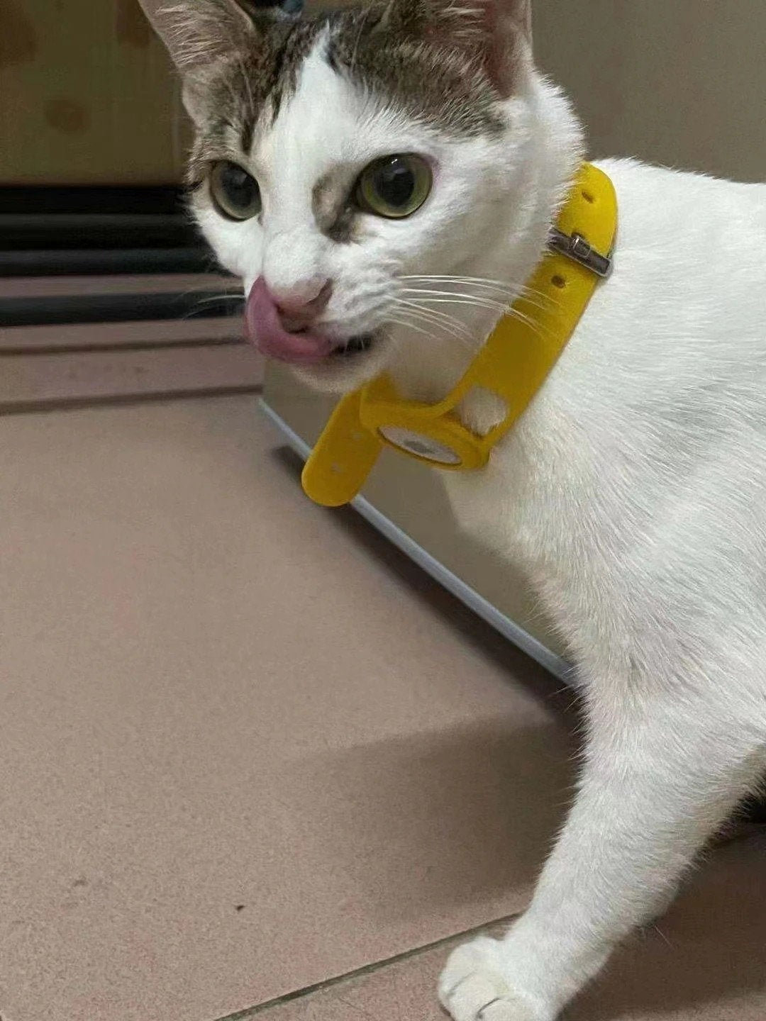 Airtag Cat Collar Tracking Silicone Strap Style Airtag Dog | Etsy