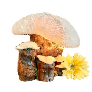 Vintage Magic Mushroom Lamp / Natural Driftwood and Real Coral Mushroom Cap Sculpture Lamp / Collectible Vintage Mushroom Lamp