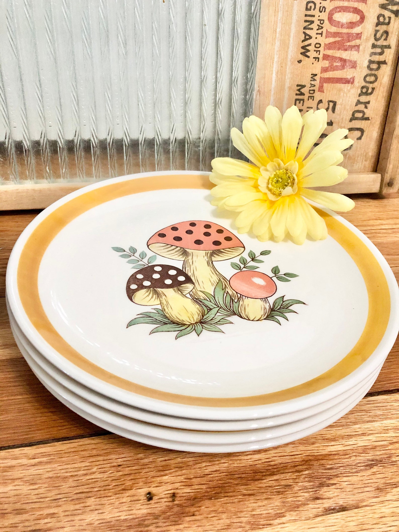 Merry Mushroom Collection - espi0ar