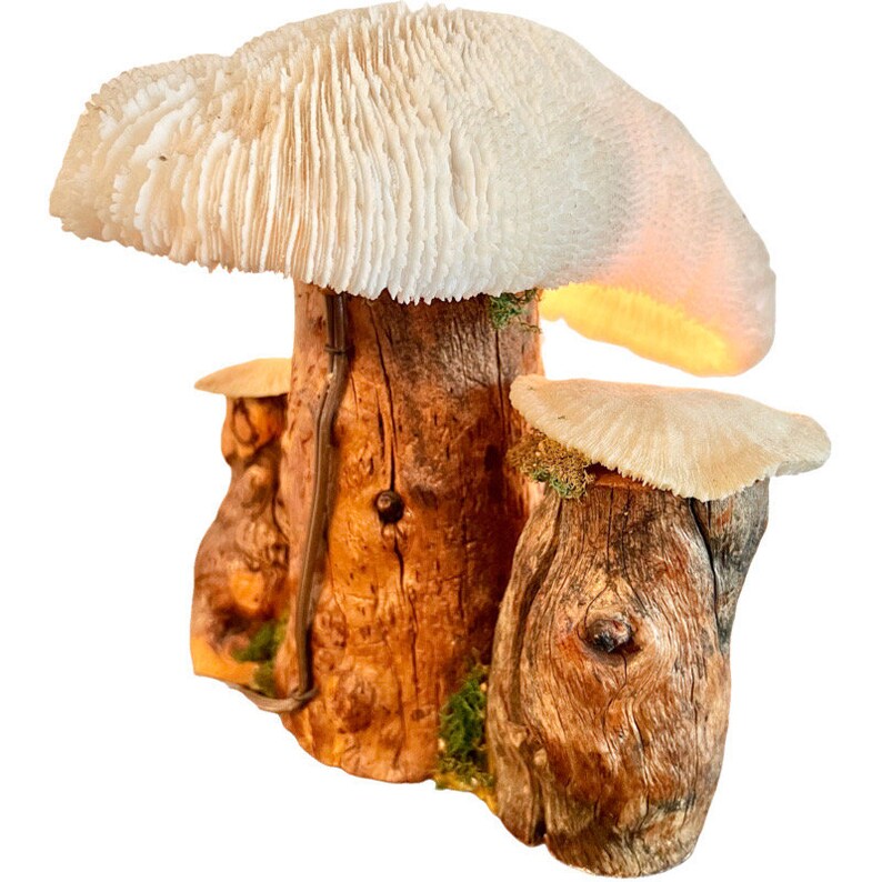 Vintage Magic Mushroom Lamp / Natural Driftwood and Real Coral Mushroom Cap Sculpture Lamp / Collectible Vintage Mushroom Lamp