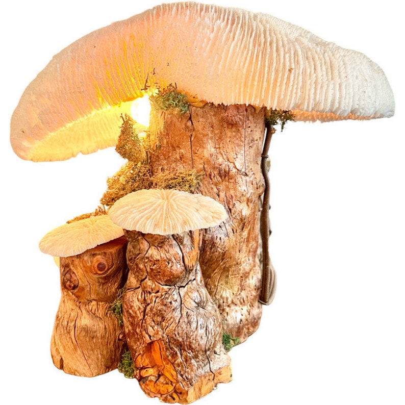 Vintage Magic Mushroom Lamp / Natural Driftwood and Real Coral Mushroom Cap Sculpture Lamp / Collectible Vintage Mushroom Lamp