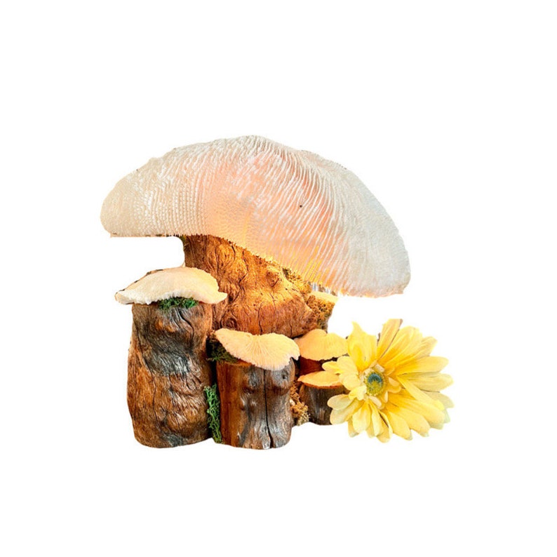Vintage Magic Mushroom Lamp / Natural Driftwood and Real Coral Mushroom Cap Sculpture Lamp / Collectible Vintage Mushroom Lamp