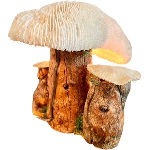 Vintage Magic Mushroom Lamp / Natural Driftwood and Real Coral Mushroom Cap Sculpture Lamp / Collectible Vintage Mushroom Lamp
