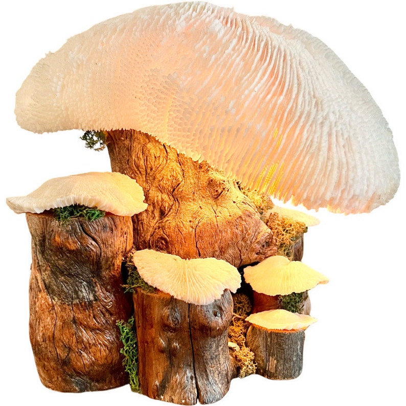 Vintage Magic Mushroom Lamp / Natural Driftwood and Real Coral Mushroom Cap Sculpture Lamp / Collectible Vintage Mushroom Lamp