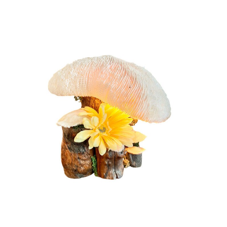 Vintage Magic Mushroom Lamp / Natural Driftwood and Real Coral Mushroom Cap Sculpture Lamp / Collectible Vintage Mushroom Lamp