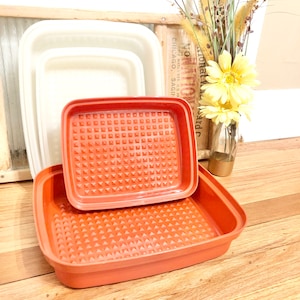 Vintage Tupperware Red Meat Marinating Container 1294-7 OR 