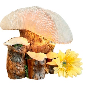 Vintage Magic Mushroom Lamp / Natural Driftwood and Real Coral Mushroom Cap Sculpture Lamp / Collectible Vintage Mushroom Lamp