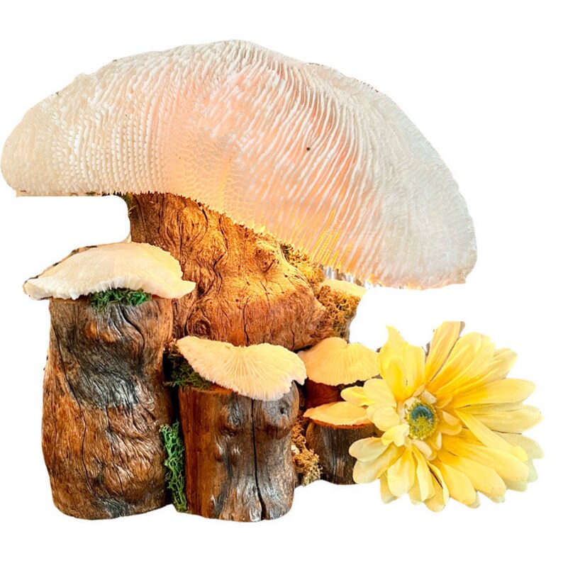 Vintage Magic Mushroom Lamp / Natural Driftwood and Real Coral Mushroom Cap Sculpture Lamp / Collectible Vintage Mushroom Lamp